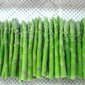 IQF Frozen Vegetable Spears Tips Green Asparagus